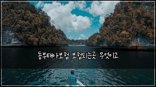 동부태아보험 보험되는곳  무엇이고
