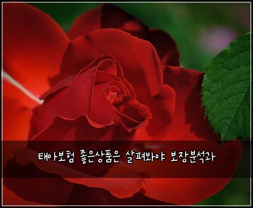 ํ์๋ณดํ ์ข์์ํ์ ์ดํด๋ด์ผ ๋ณด์ฅ๋ถ์๊ณผ
