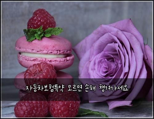 ์๋์ฐจ๋ณดํํน์ฝ ๋ชจ๋ฅด๋ฉด ์ํด ์ฑ๊ฒจ๊ฐ์ธ์