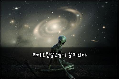 태아보험알고들기 살펴봐야
