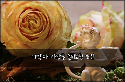 계약자 사망후 실비보험 최신 