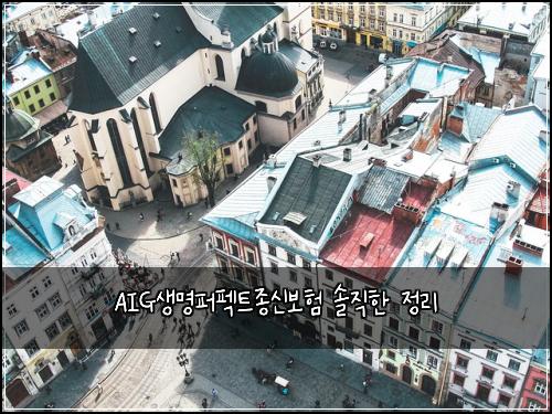 AIG생명퍼펙트종신보험 솔직한 정리