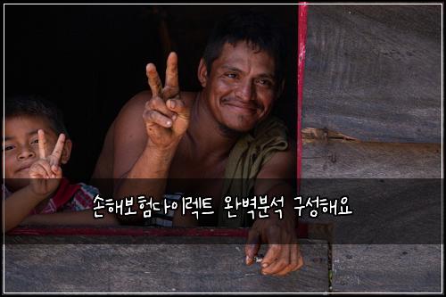손해보험다이렉트 완벽분석 구성해요