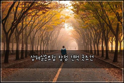 상해실손보험 장점  견적 굿조건