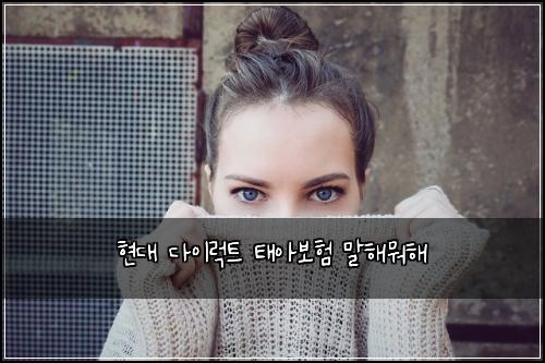 νλ λ€μ΄λνΈ νμ보ν λ§ν΄λν΄
