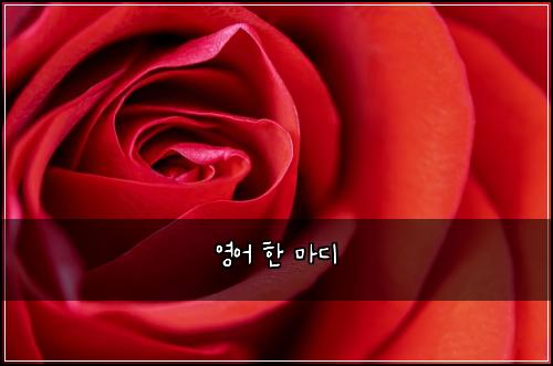 ์์ด ํ ๋ง๋