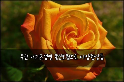 우린 메리츠생명 종신보험으로 다양한상품