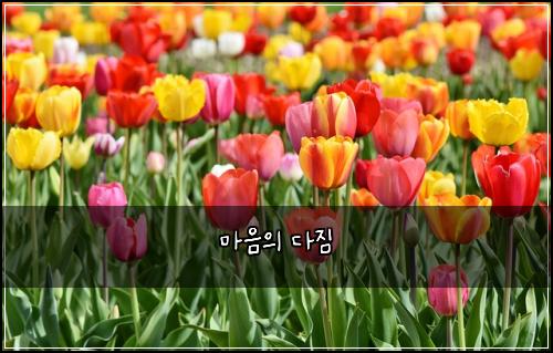 ๋ง์์ ๋ค์ง