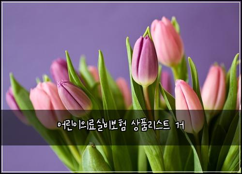 어린이의료실비보험 상품리스트  거