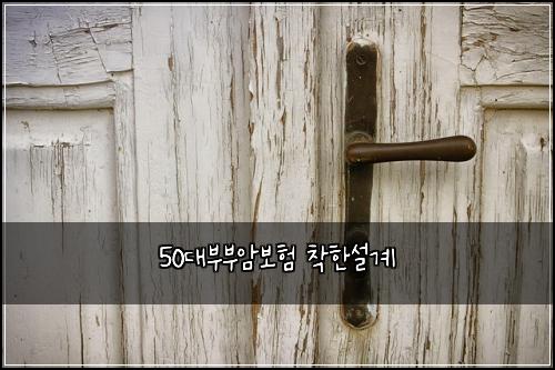 50๋๋ถ๋ถ์๋ณดํ ์ฐฉํ์ค๊ณ