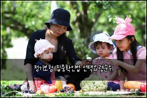 정기보험 집중확인법  선택요령순위