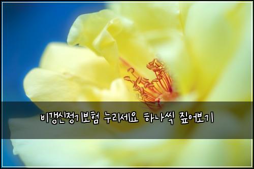 ๋น๊ฐฑ์ ์ ๊ธฐ๋ณดํ ๋๋ฆฌ์ธ์ ํ๋์ฉ ์ง์ด๋ณด๊ธฐ