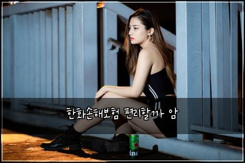 한화손해보험 편리할까  암