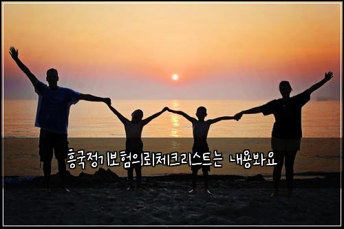 흥국정기보험의뢰체크리스트는 내용봐요