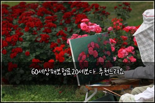 60세상해보험료20세보다 추천드려요