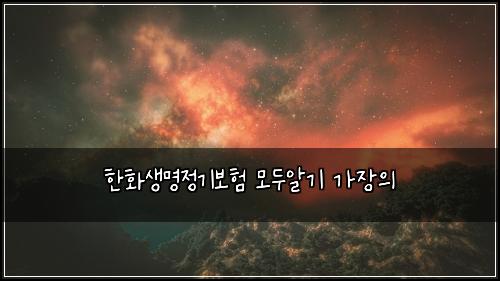 한화생명정기보험 모두알기  가장의