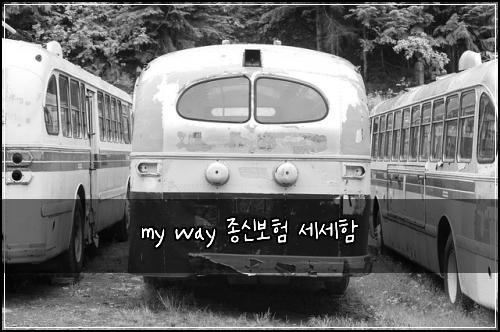 my way 종신보험 세세함 