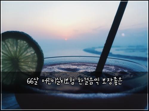 66살 어린이실비보험 한걸음씩  보장좋은