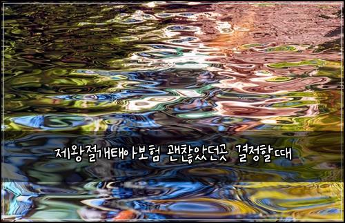 제왕절개태아보험 괜찮았던곳  결정할때