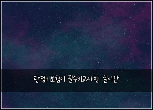 랑정기보험이 필수비교사항 실시간