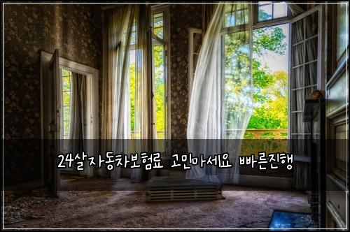 24살자동차보험료 고민마세요 빠른진행