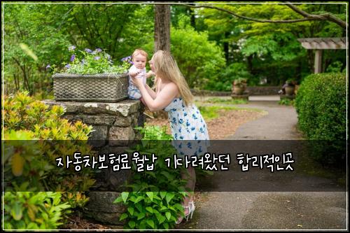 ์๋์ฐจ๋ณดํ๋ฃ์๋ฉ ๊ธฐ๋ค๋ ค์๋ ํฉ๋ฆฌ์ ์ธ๊ณณ