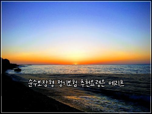 순수보장형 정기보험 추천요령은  메리츠