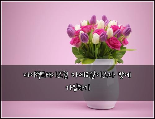 ๋ค์ด๋ ํธํ์๋ณดํ ์์ธํ์์๋ณด์ ๋ฐฉ์ ๊ฐ์
ํ๊ธฐ