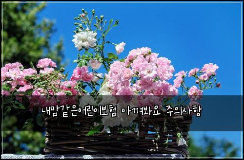 내맘같은어린이보험 아껴봐요  주의사항