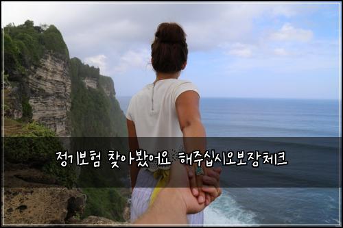 정기보험 찾아봤어요  해주십시오보장체크