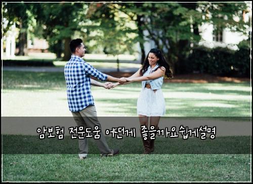 암보험 전문도움  어떤게 좋을까요쉽게설명