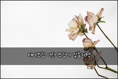 ํ์๋ณดํ ์ด๋ฆฐ์ด๋ณดํ์ ๋ง์ถคํํ
