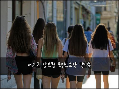 메리츠 암보험 포인트요약  갱신폭