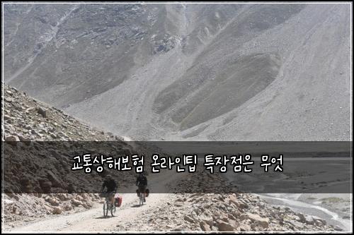 교통상해보험 온라인팁  특장점은 무엇