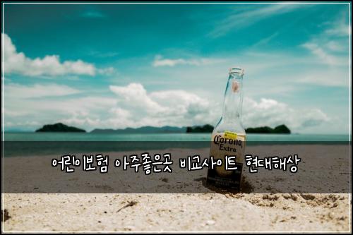 ์ด๋ฆฐ์ด๋ณดํ ์์ฃผ์ข์๊ณณ ๋น๊ต์ฌ์ดํธ ํ๋ํด์