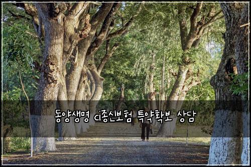 동양생명 ci종신보험 특약확보  상담