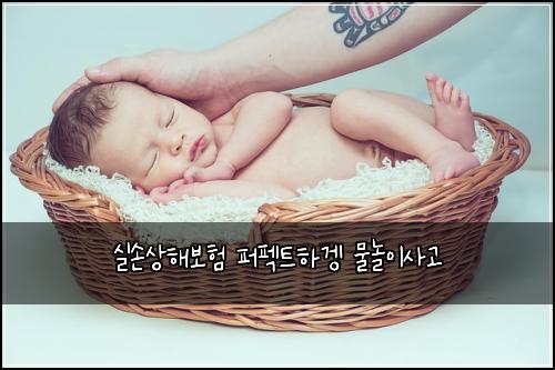 ์ค์์ํด๋ณดํ ํผํํธํ๊ฒก ๋ฌผ๋์ด์ฌ๊ณ