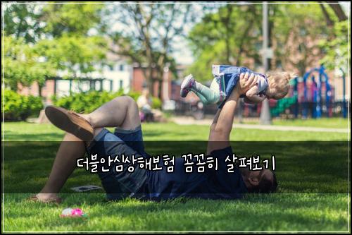 더블안심상해보험 꼼꼼히 살펴보기