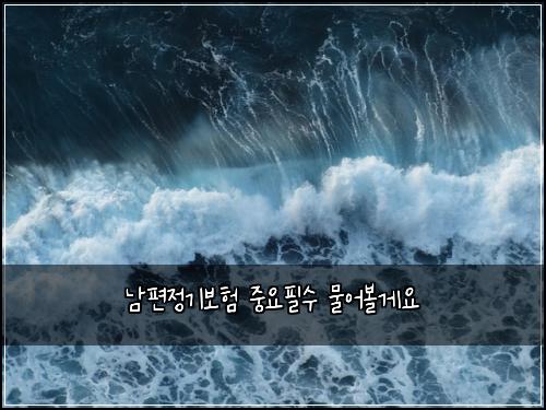 남편정기보험 중요필수  물어볼게요