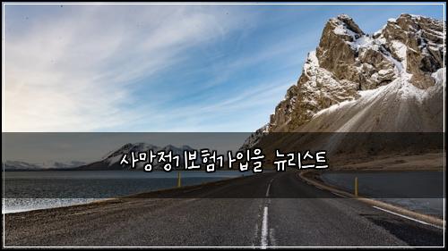 사망정기보험가입을 뉴리스트