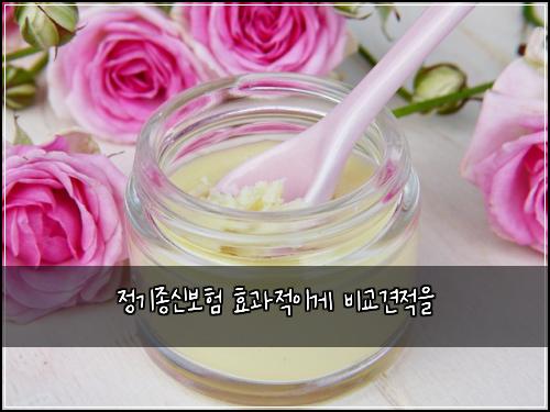 정기종신보험 효과적이게  비교견적을