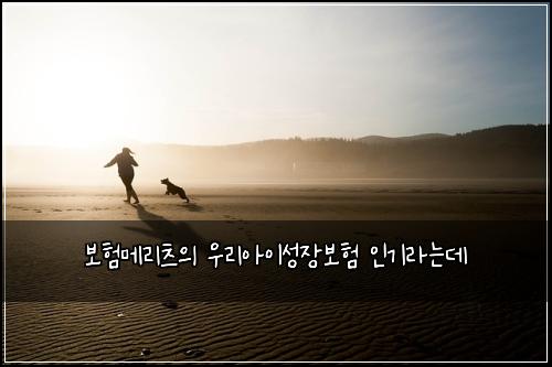 보험메리츠의 우리아이성장보험 인기라는데
