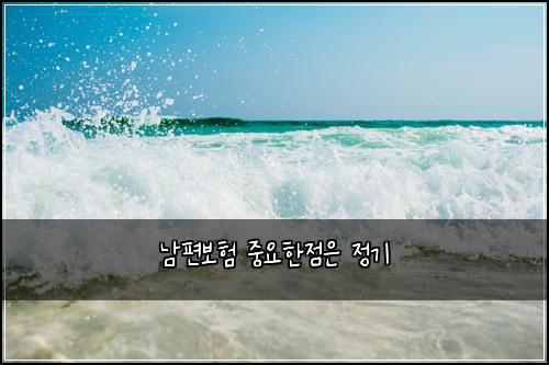남편보험 중요한점은  정기