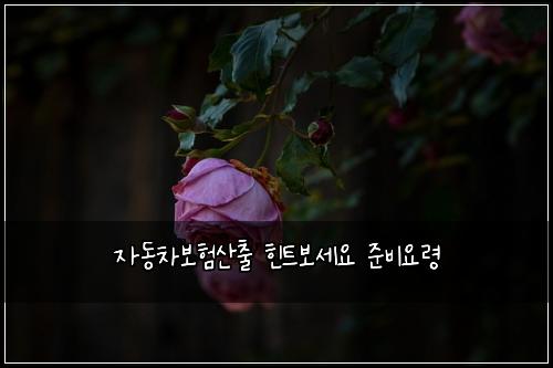자동차보험산출 힌트보세요 준비요령