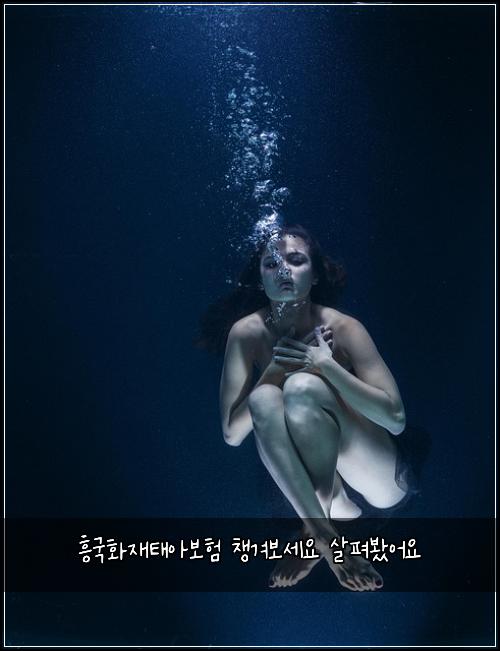ํฅ๊ตญํ์ฌํ์๋ณดํ ์ฑ๊ฒจ๋ณด์ธ์ ์ดํด๋ดค์ด์