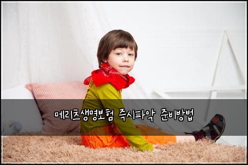 메리츠생명보험 즉시파악  준비방법