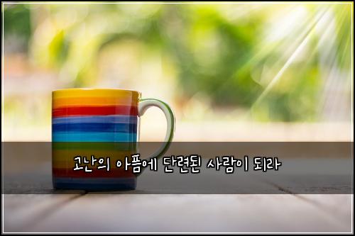고난의 아픔에 단련된 사람이 되라