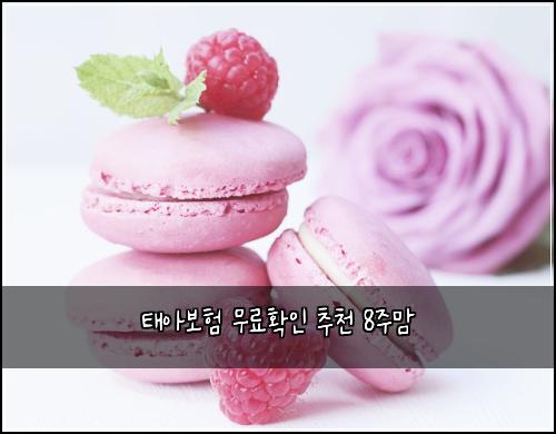 태아보험 무료확인  추천 8주맘