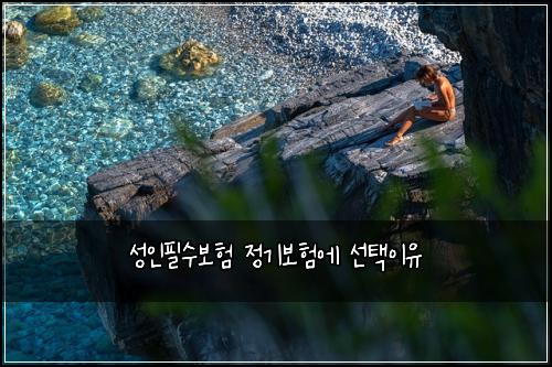 성인필수보험 정기보험에 선택이유