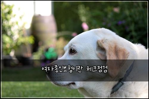 여자종신보험이란 체크점검